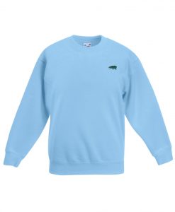 Light Blue Sweatshirt