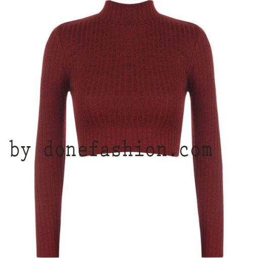 Turtle Neck Ribbed Crop Top