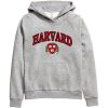 harvard hoodie