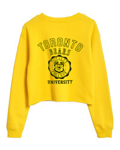 university bear sweatshirt