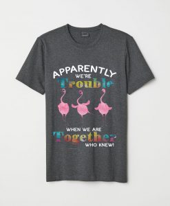 Apparently we're trouble when we're together who knew flamingo T-shirt