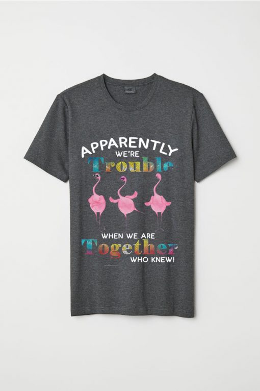 Apparently we're trouble when we're together who knew flamingo T-shirt