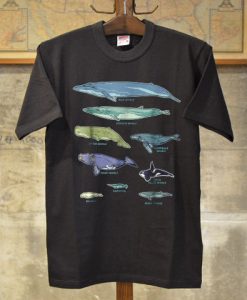 Collection of Whale Breeds Species T-shirt