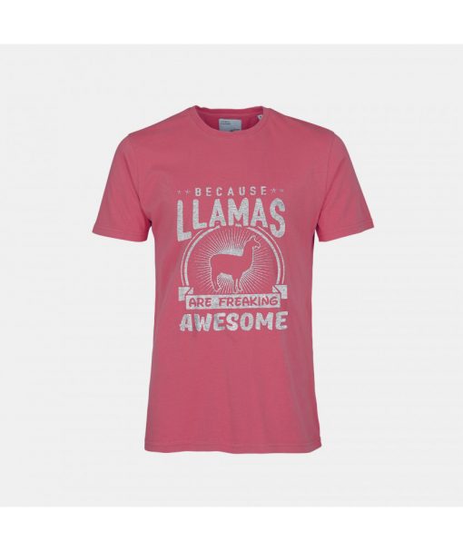 Llama Shirt