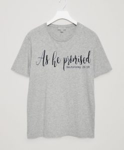 As he promised grey tees