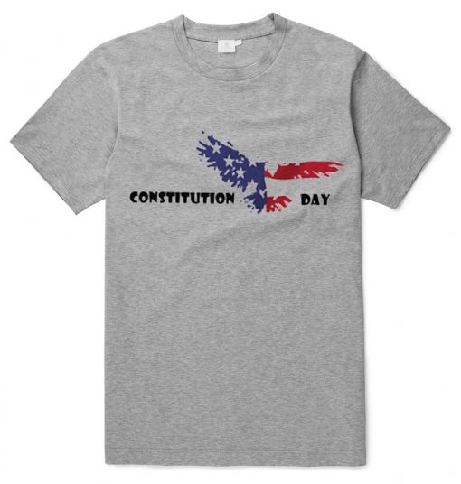 Constitution day Grey T-shirt