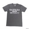 HARVARD UNIVERSITY GREY T Shirt