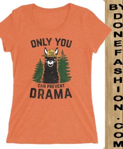 Only You Can Prevent Drama Orange t-shirt