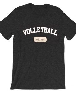 volley ball est 1895 grey asphalt t shirts