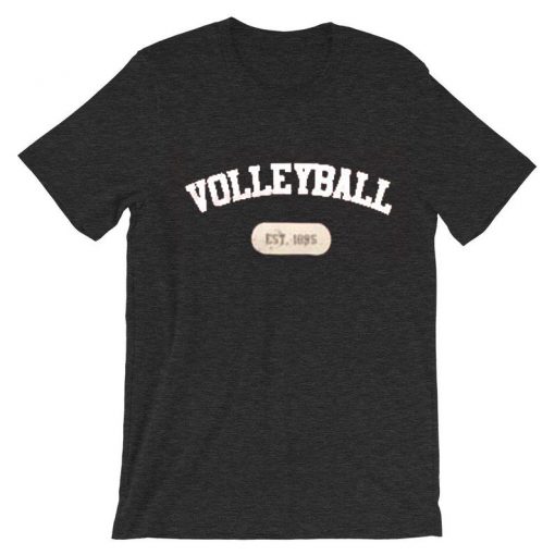 volley ball est 1895 grey asphalt t shirts