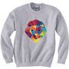 LION grey sweatshirts