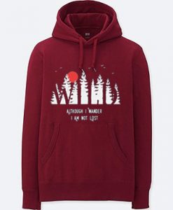 I Am Not LoseMaroon Hoodie