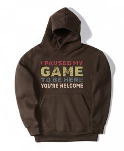 I Paused My Game To Be Here Brown Hoodie