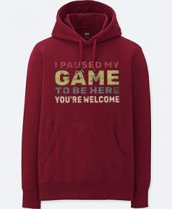 I Paused My Game To Be Here Maroon Hoodie