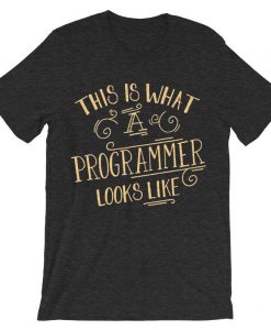 This Is What A Programmer Looks Like Grey AsphaltT shirts