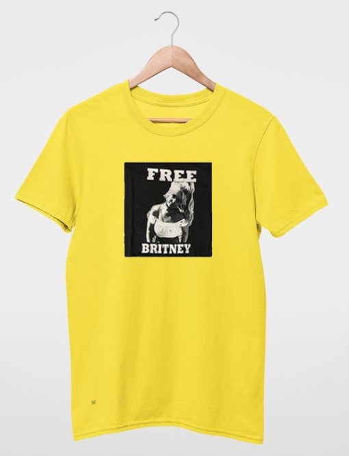 Free Britney Box T Shirt